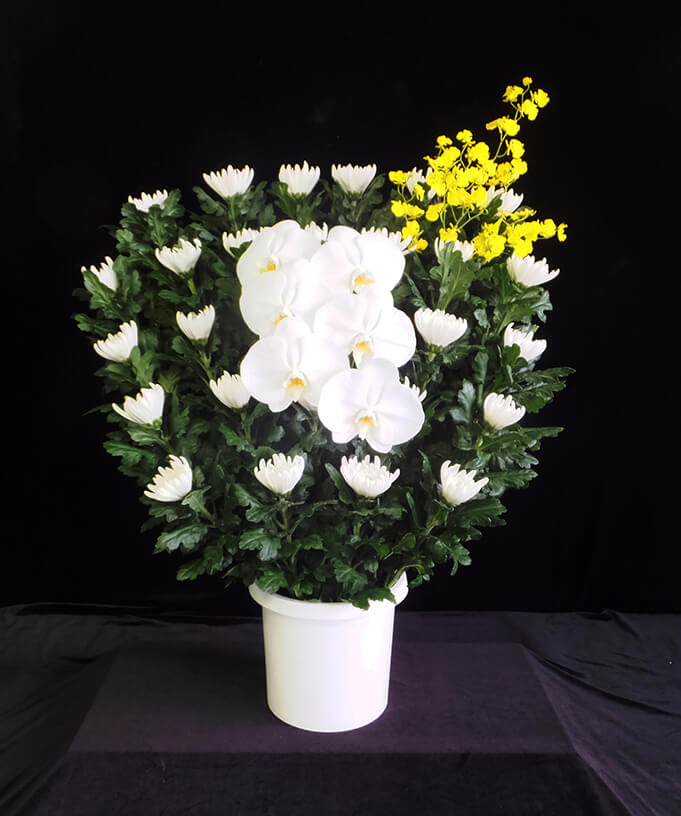 生花篭花（和）16,500円