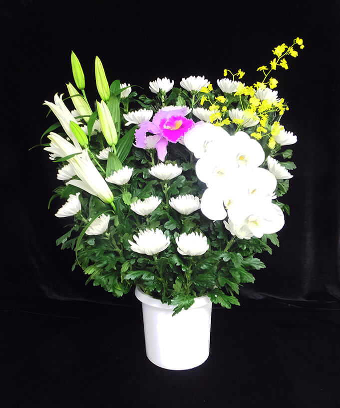 菊 1基 22,000円